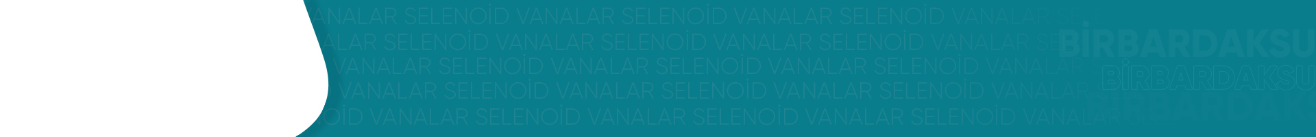 Selenoid Vanalar