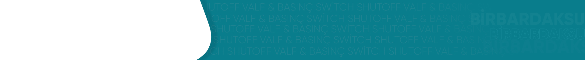 Shutoff Valf & Basınç Switch